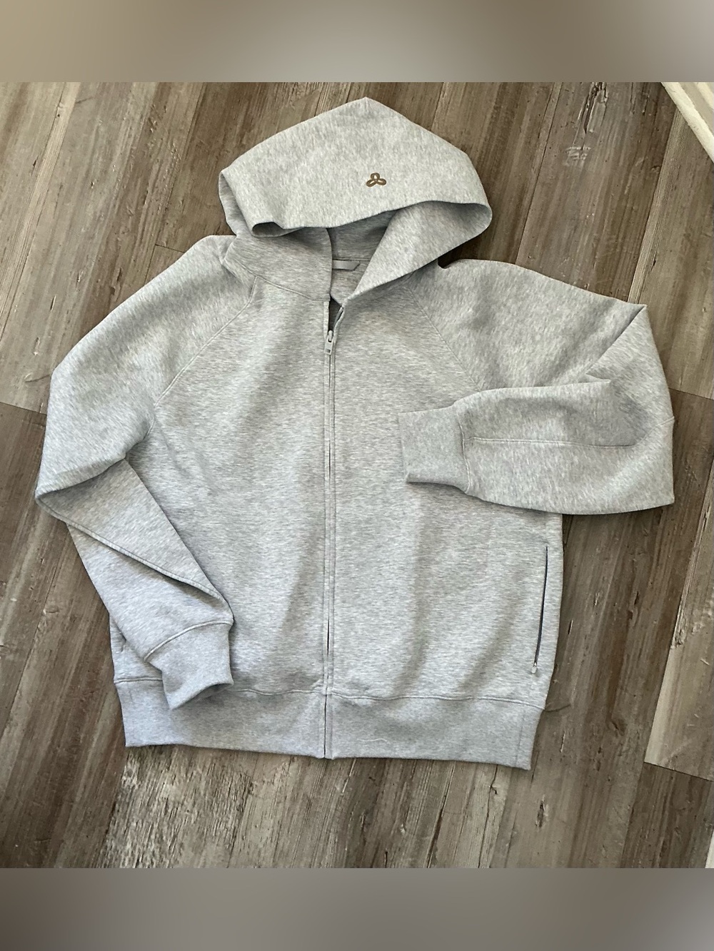 Aritzia Golden Light Gray Zip Hoodie